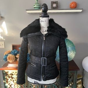 Bebe XS jacket